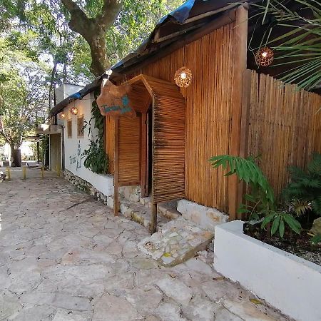 Casa Tortuga Azul Hotel Palenque Kültér fotó